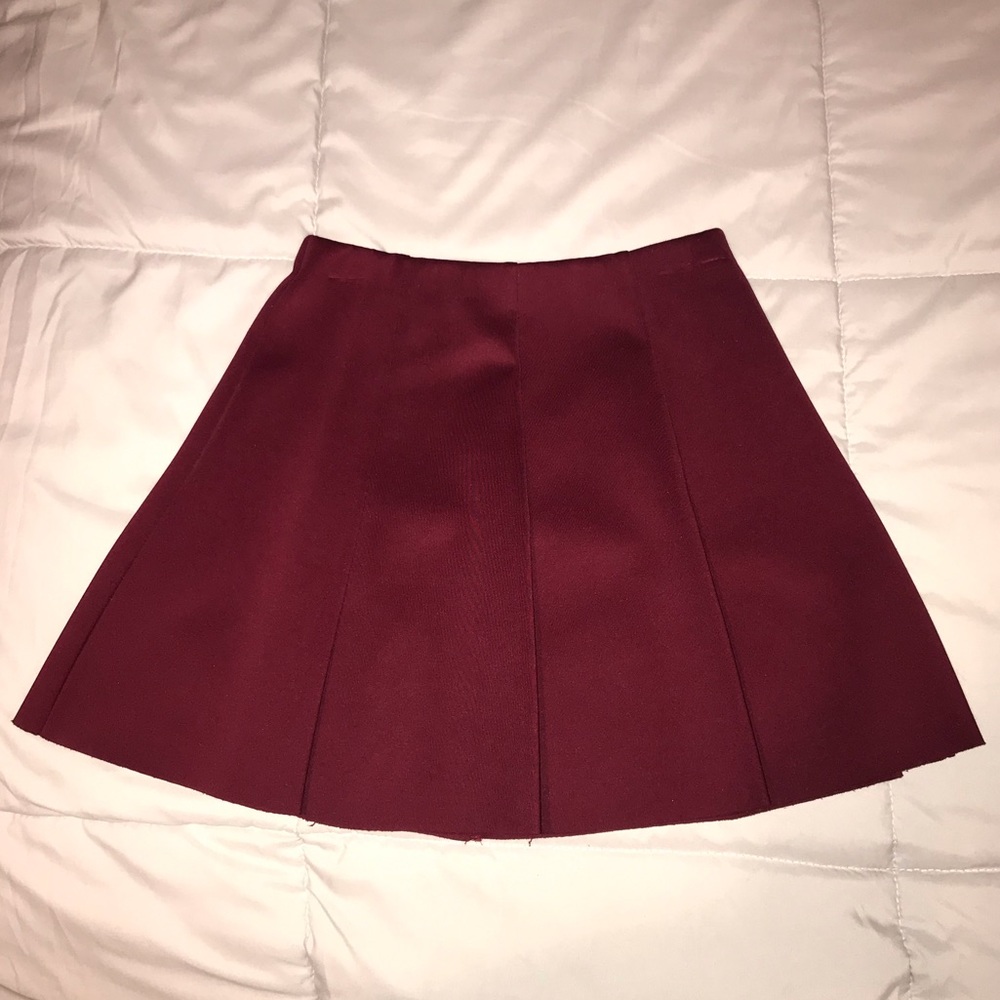 Pleated Skater Skirt